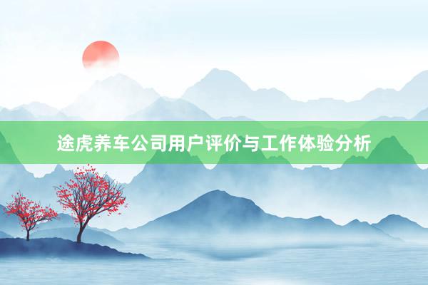 途虎养车公司用户评价与工作体验分析