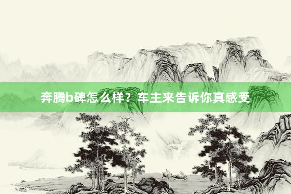 奔腾b碑怎么样？车主来告诉你真感受